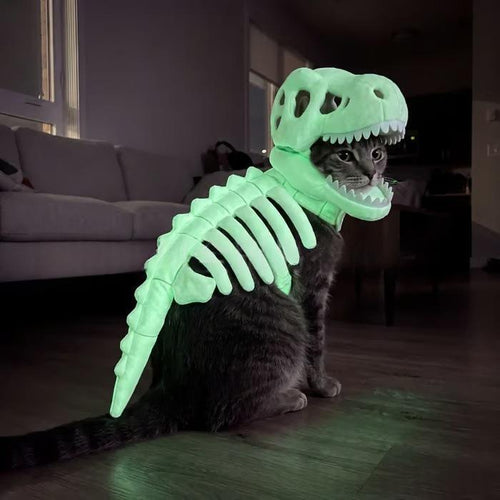 Dark Dinosaur Skeleton Pet Costume - product image 1