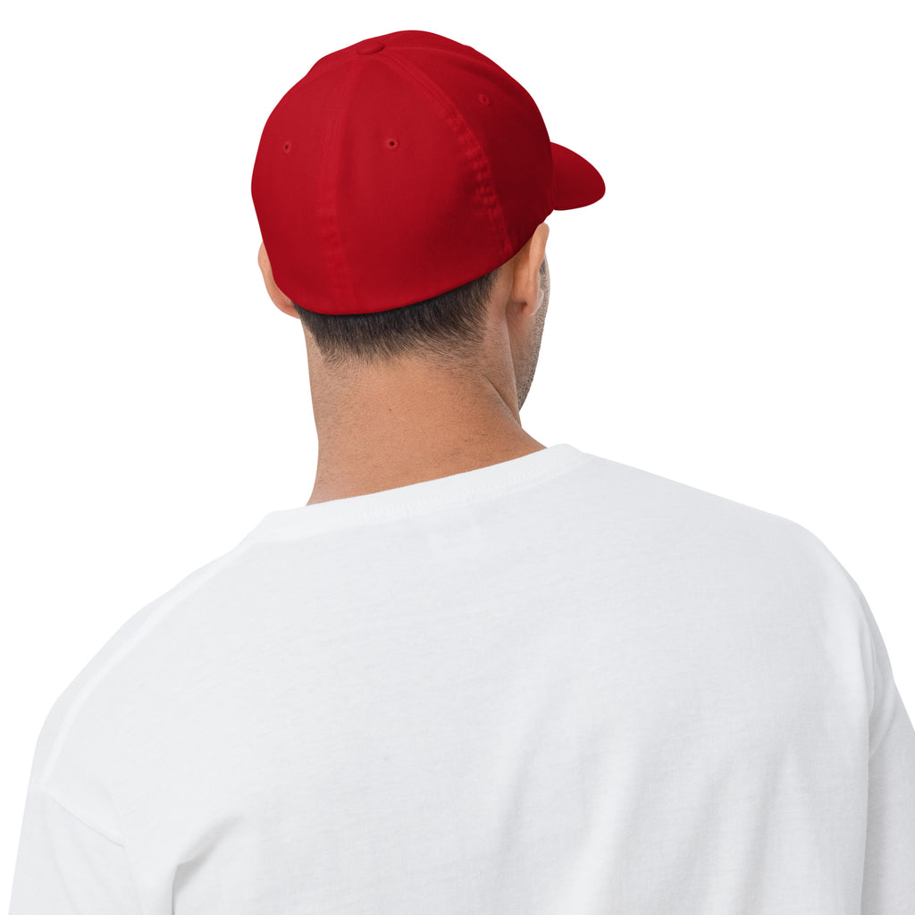Structured Twill Cap - view 8