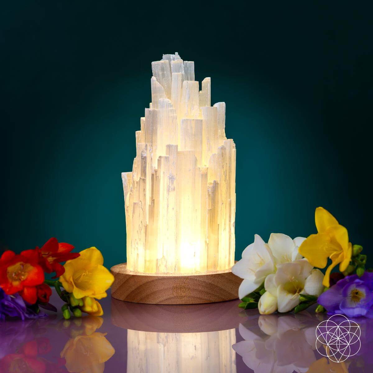 Selenite Crystal Lamp with Walnut Base