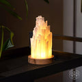 Selenite Crystal Lamp with Walnut Base