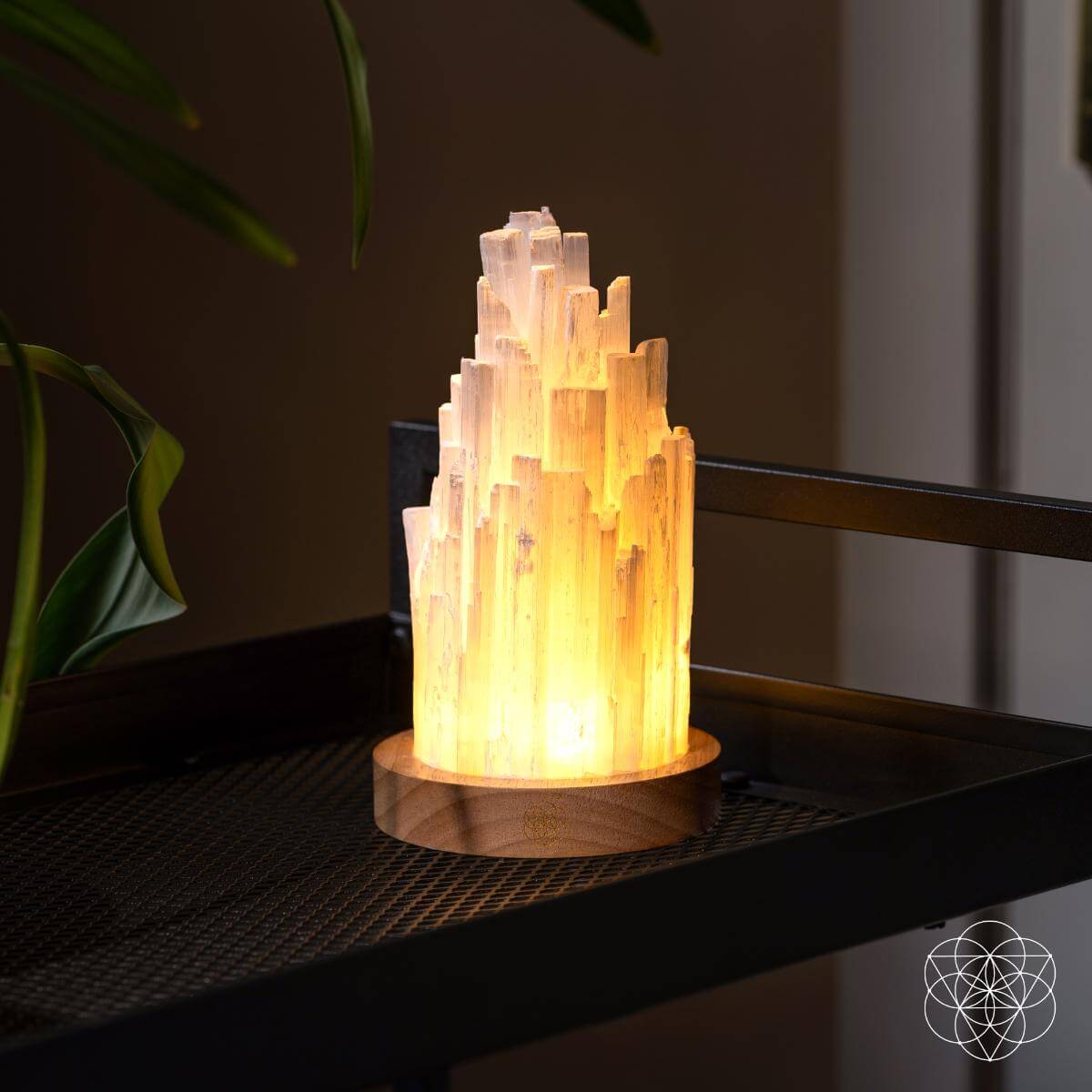 Selenite Crystal Lamp with Walnut Base