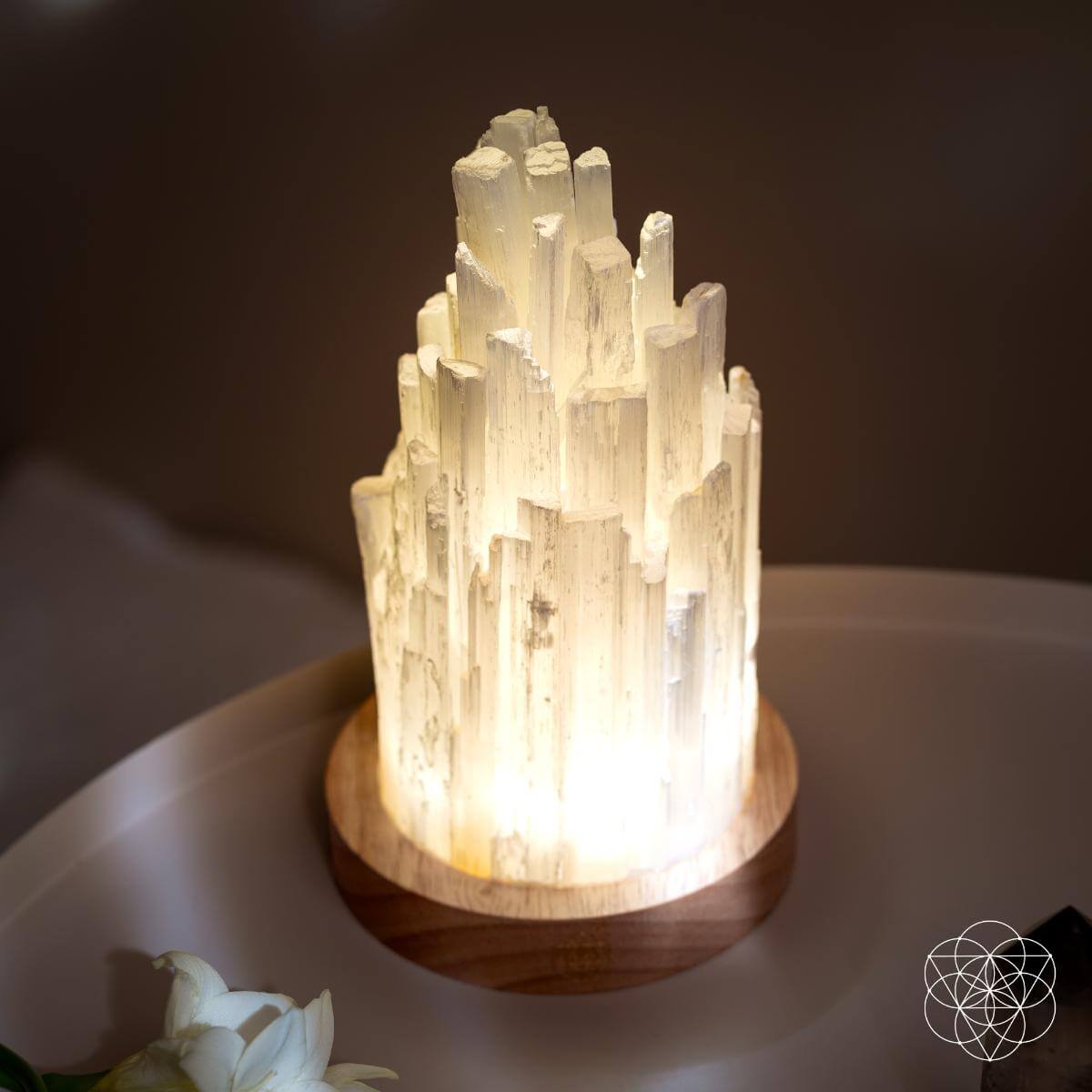 Selenite Crystal Lamp with Walnut Base